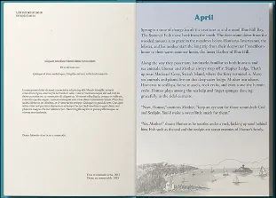 Book Cover Designers UK - Spot Illustration